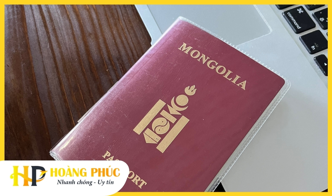 hinh-anh-visa-mong-co